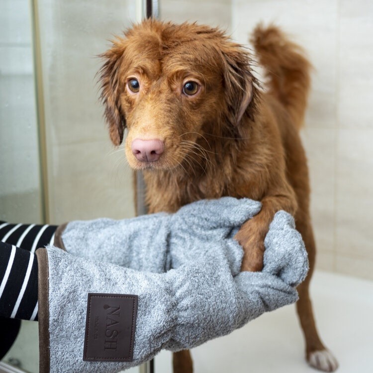 Wet duck tolling retriever in the tub being toweled off with a gray grooming mitt